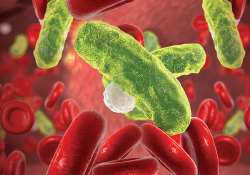 DẢI PHÂN BỐ KÍCH THƯỚC BẠCH CẦU MONO: CHỈ SỐ MỚI CỦA SEPSIS-2 VÀ SEPSIS-3 Ở BỆNH NHÂN CẤP CỨU CÓ NGUY CƠ CAO