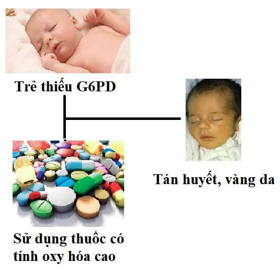 SÀNG LỌC SUY GIẢM HOẠT ĐỘ G6PD – BẢO VỆ CON TRẺ TỪ GIAI ĐOẠN ĐẦU ĐỜI
